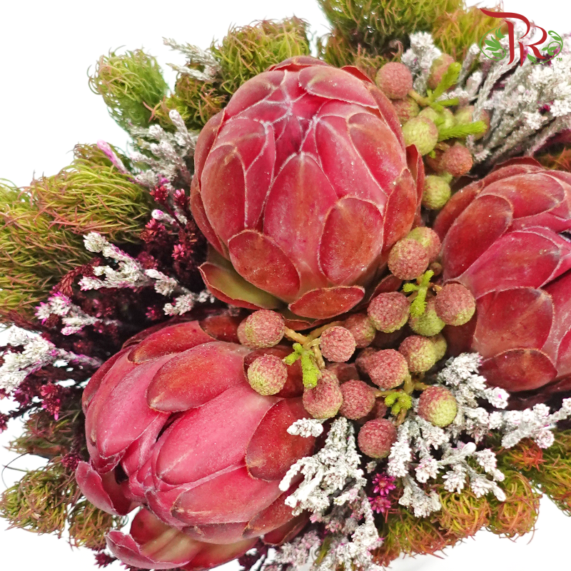 Safari Premium Bouquet ( Christmas Edition ) **Random Cone/Fillers