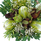 Safari Premium Bouquet **Random Cone/Fillers