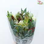 Safari Premium Bouquet **Random Cone/Fillers