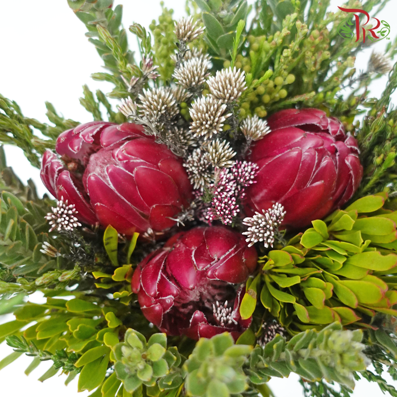 Safari Premium Bouquet ( Christmas Edition ) **Random Cone/Fillers