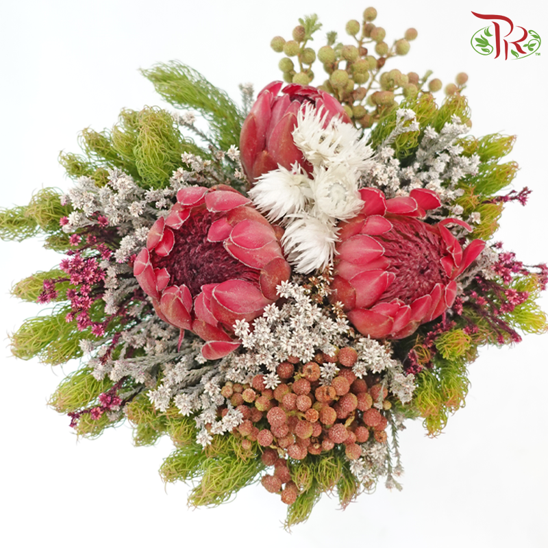 Safari Premium Bouquet ( Christmas Edition ) **Random Cone/Fillers