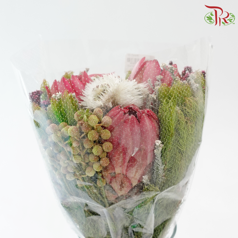 Safari Premium Bouquet ( Christmas Edition ) **Random Cone/Fillers