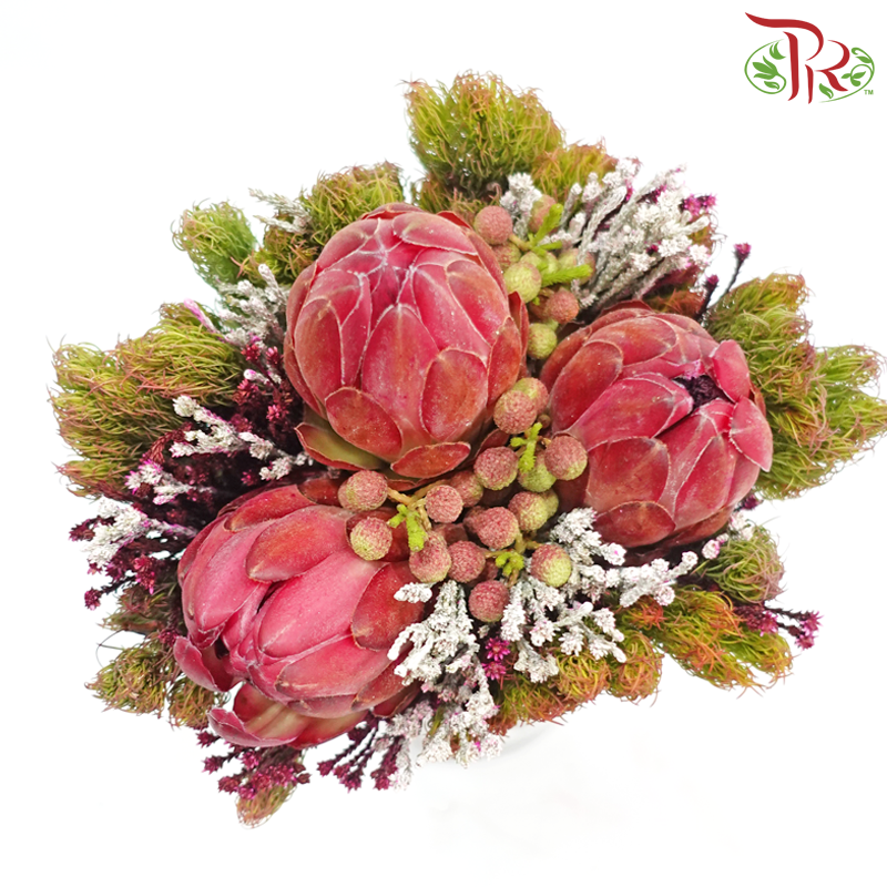 Safari Premium Bouquet ( Christmas Edition ) **Random Cone/Fillers