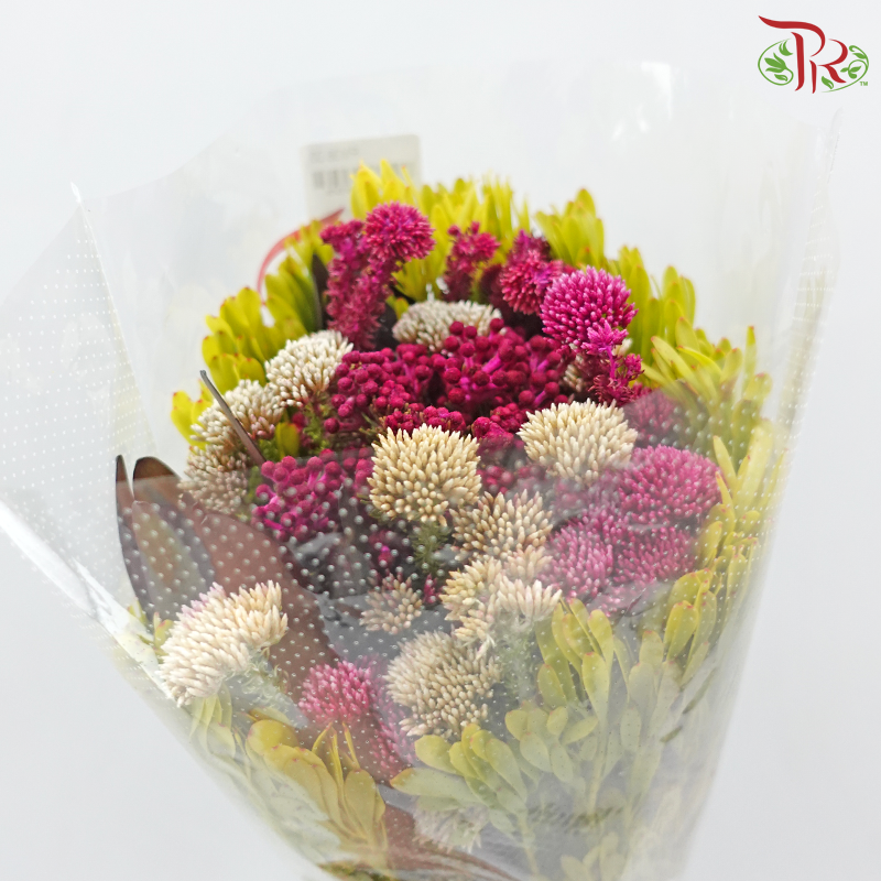 Safari Cape Cone Mix Bouquet **Random Choose Cone/Fillers