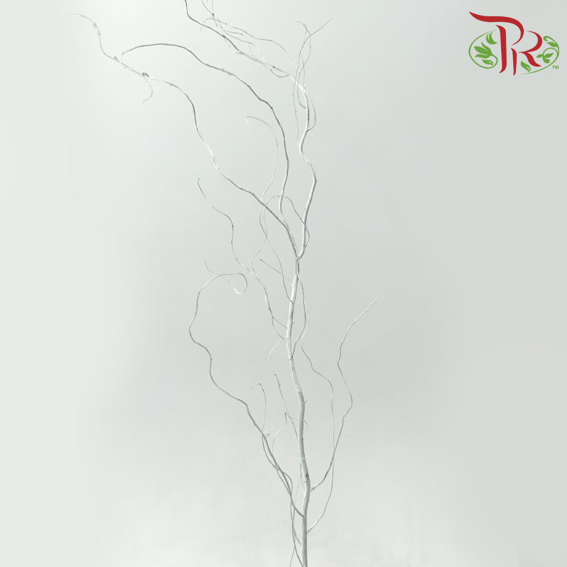 Salix