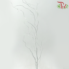 Salix