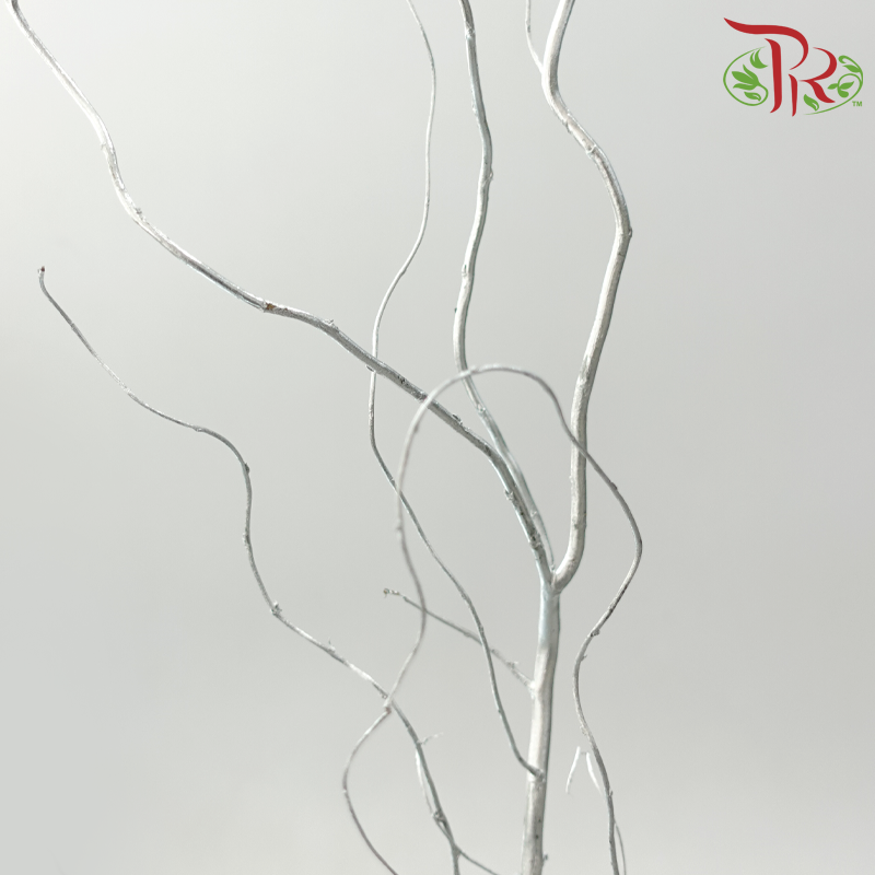 Salix