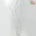 Salix