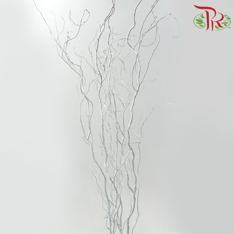 Salix