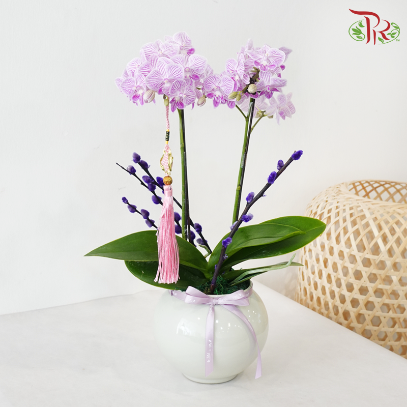 【RAYA 2026】Sinar Aidil