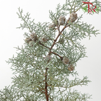 Snow Pine (Per Bunch)
