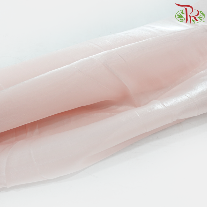 Timeless Bloom (Random Choose Orchid Color) (With Wrapping Cloth Color Options)