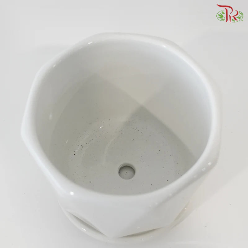 TX24 70010 White Pot