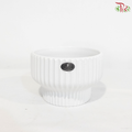 TX-JW7390000 - White Pot (With Size Option)
