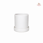 TX01 White Pot
