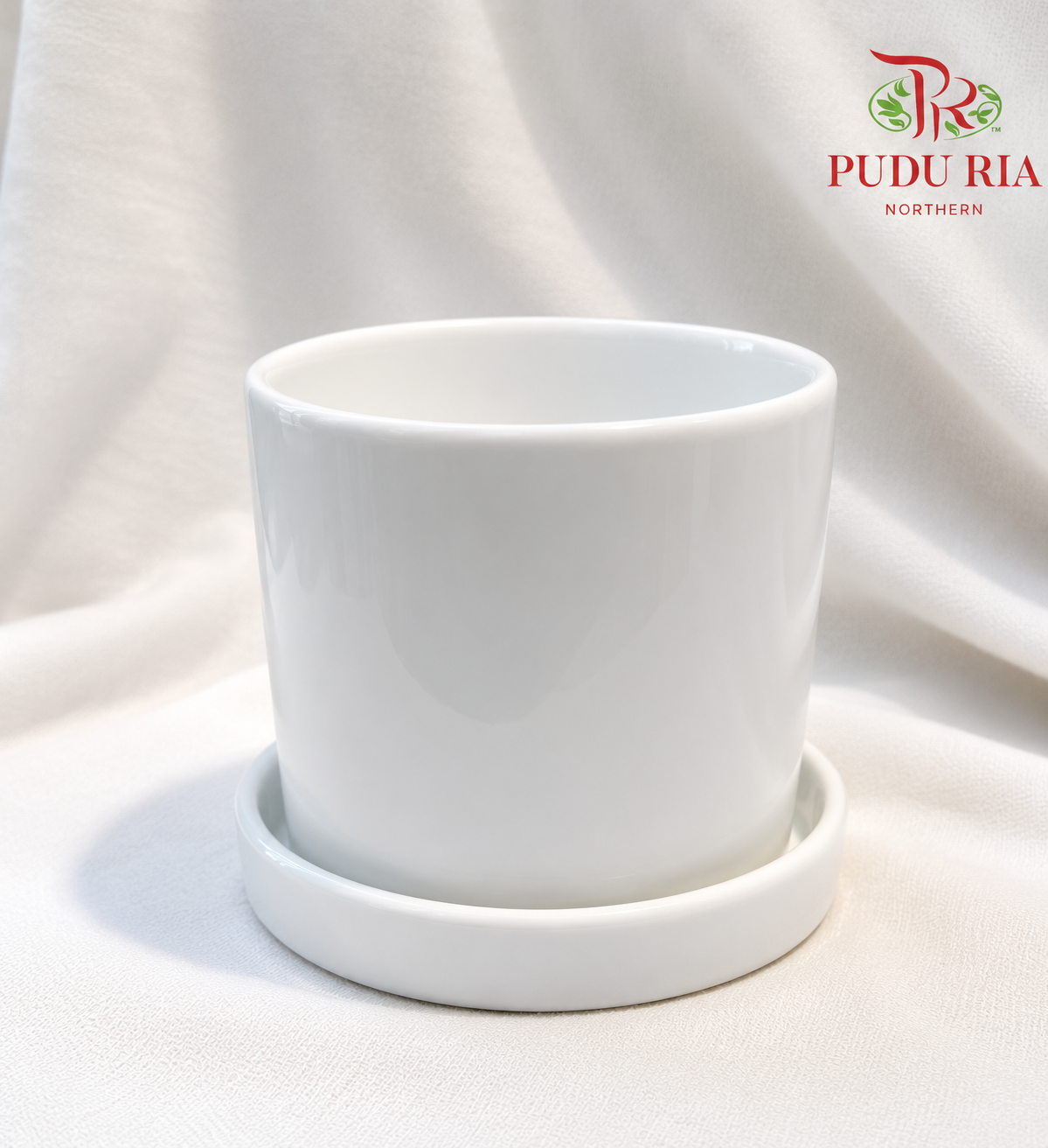 TX03 WHITE POT