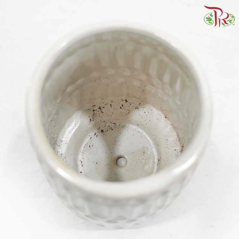 TY-8839 Pot