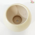 TY-8862 Pot