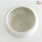 TY-8866 White Pot