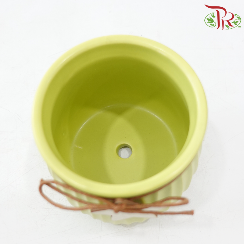 TY-8885 Asst Pot