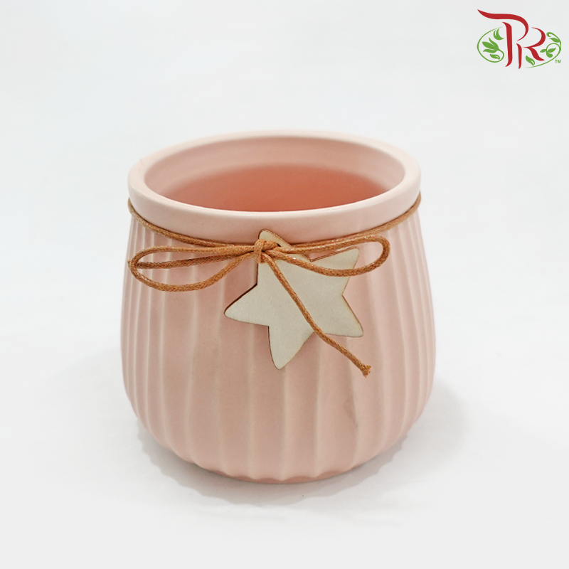 TY-8885 Asst Pot