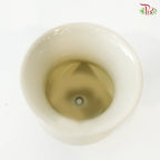 TY-9903 Pot