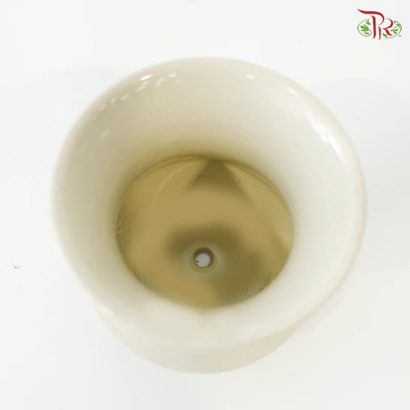 TY-9903 Pot