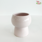 TY-9910  Pink Pot