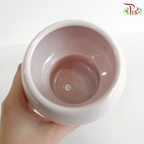 TY-9910  Pink Pot