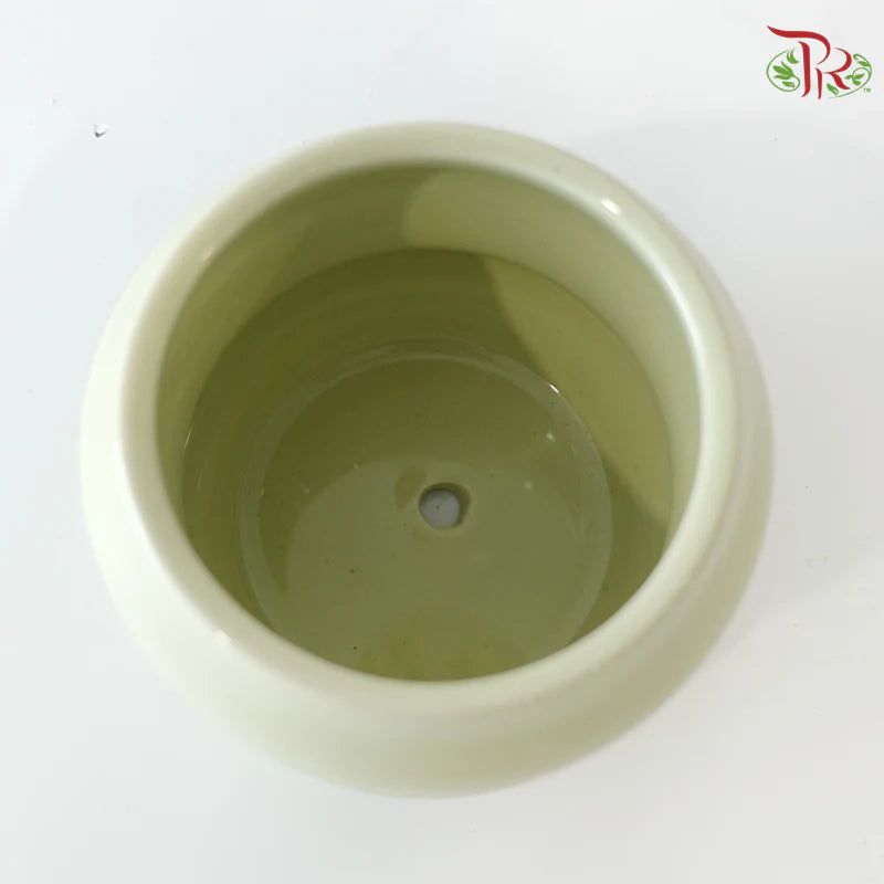 TY-9911 Pot