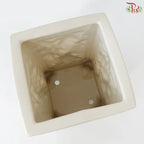 TY-D22001 Pot