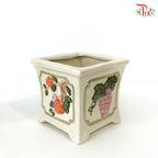 TY-D22001 Pot