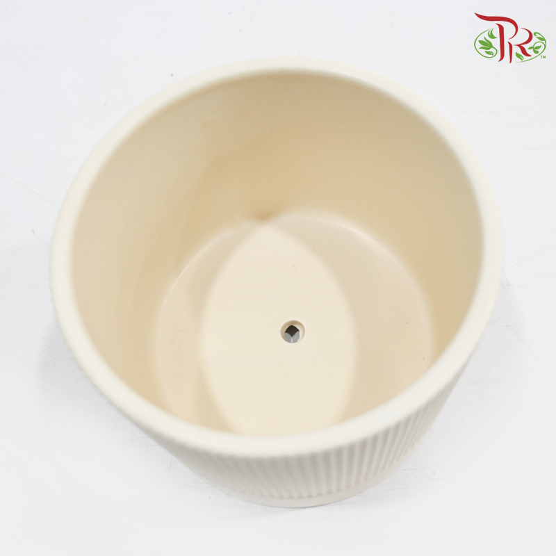TYN-2063002 Asst Pot