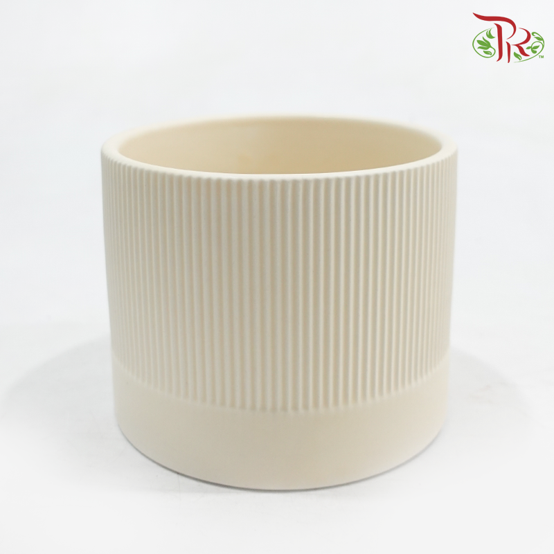 TYN-2063002 Asst Pot