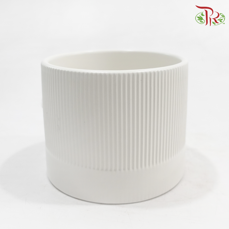 TYN-2063002 Asst Pot
