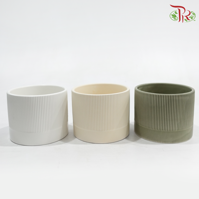 TYN-2063002 Asst Pot