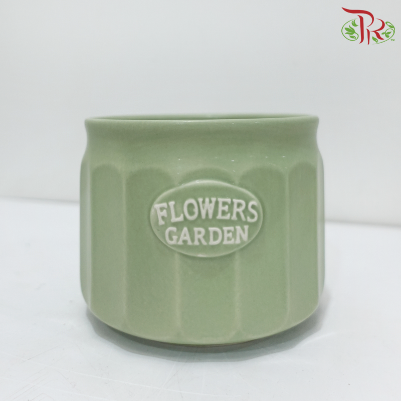 TYN-220206 Asst Pot