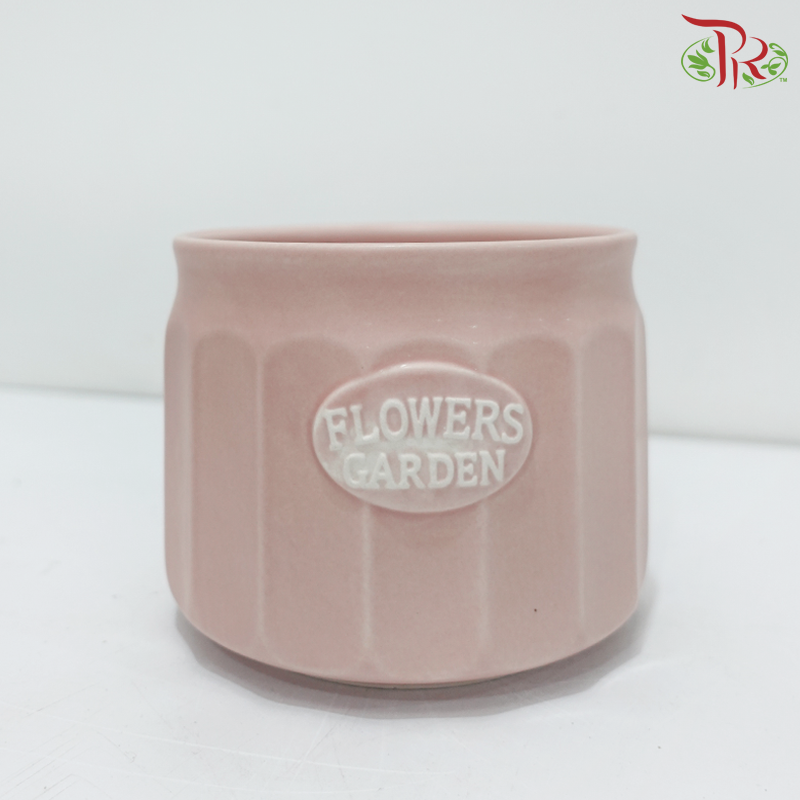TYN-220206 Asst Pot