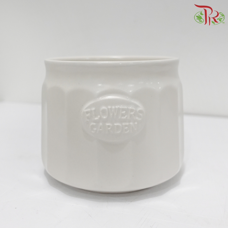 TYN-220206 Asst Pot