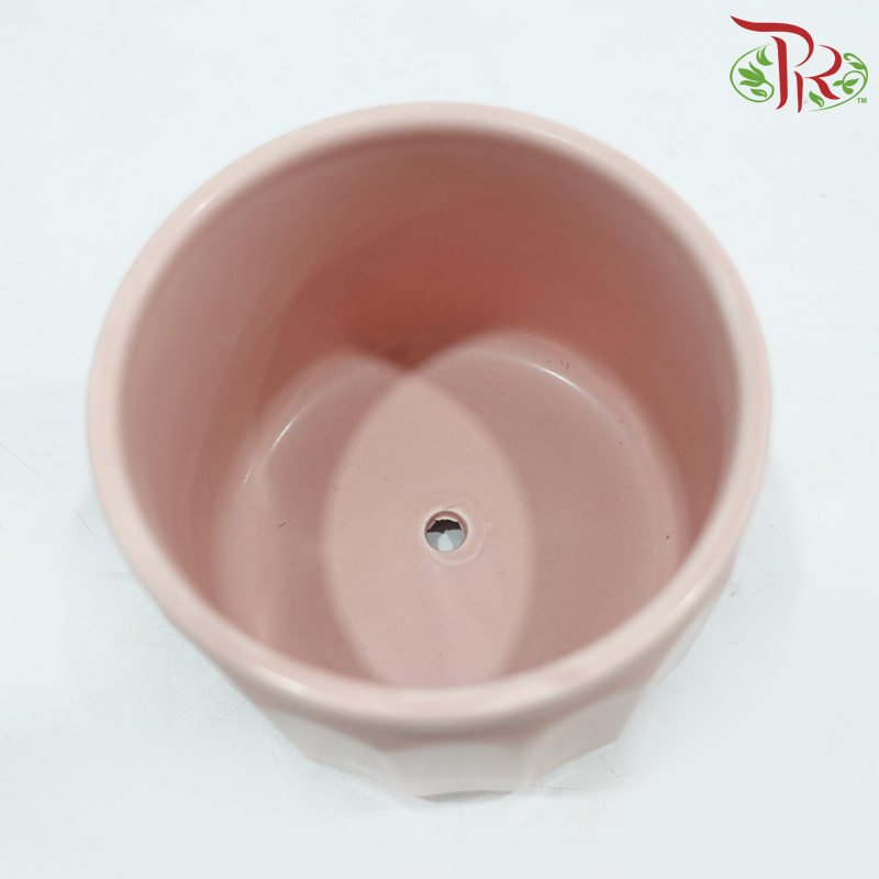 TYN-220206 Asst Pot