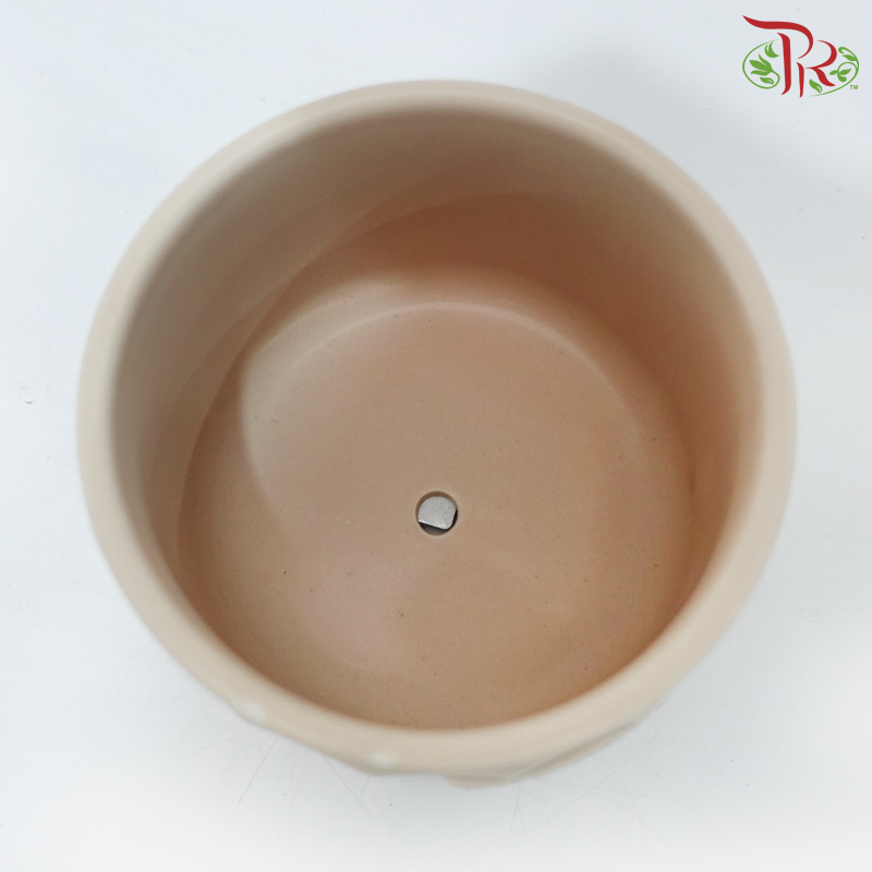 TYN-220206 Asst Pot