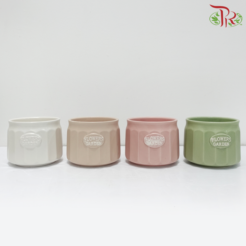 TYN-220206 Asst Pot