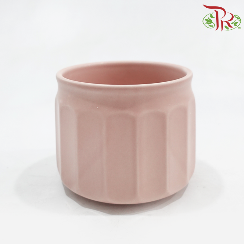 TYN-220206 Asst Pot