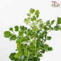 Tea Leaf Round