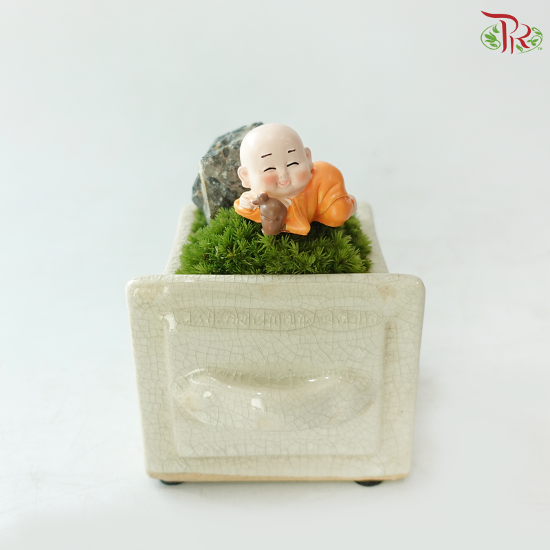 Thanks a Moss Lot!(With Pot Color Options)