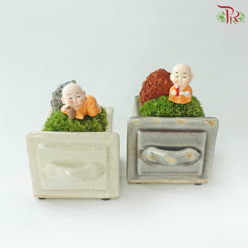 Thanks a Moss Lot!(With Pot Color Options)