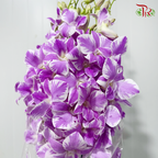 Dendrobium