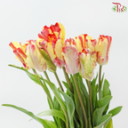 Tulip