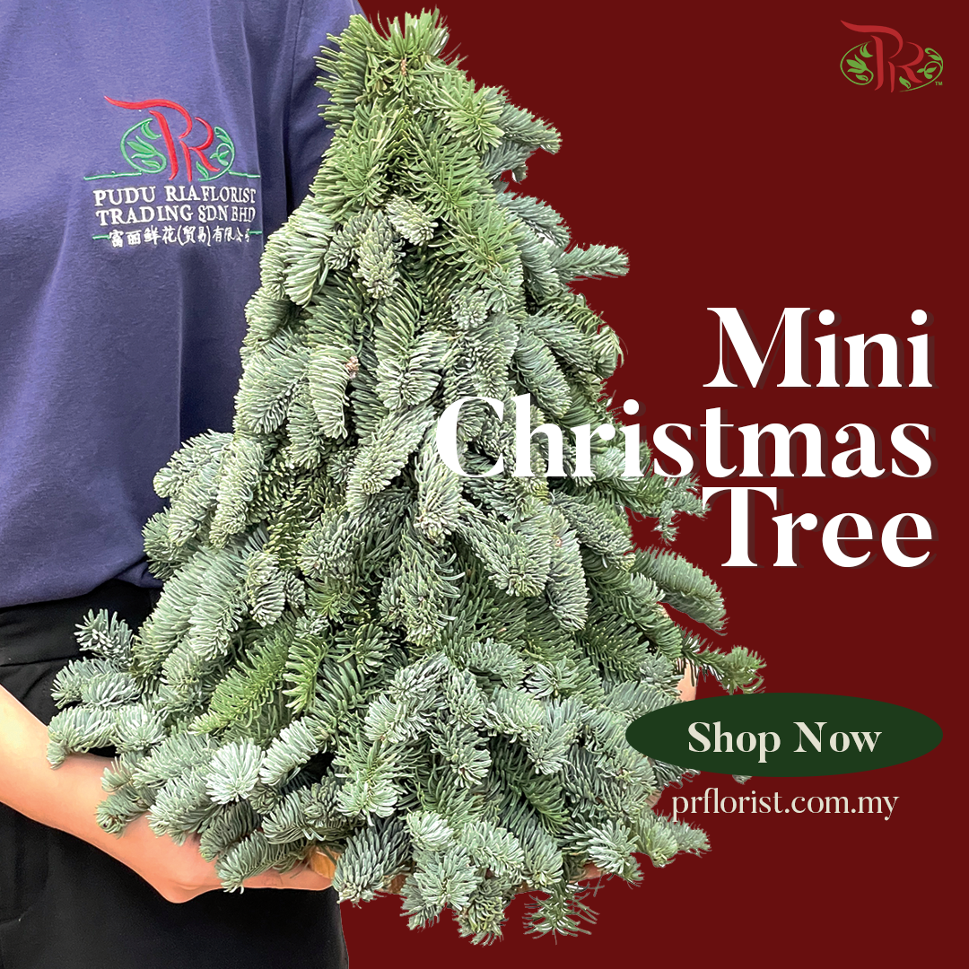 Mini Christmas Tree