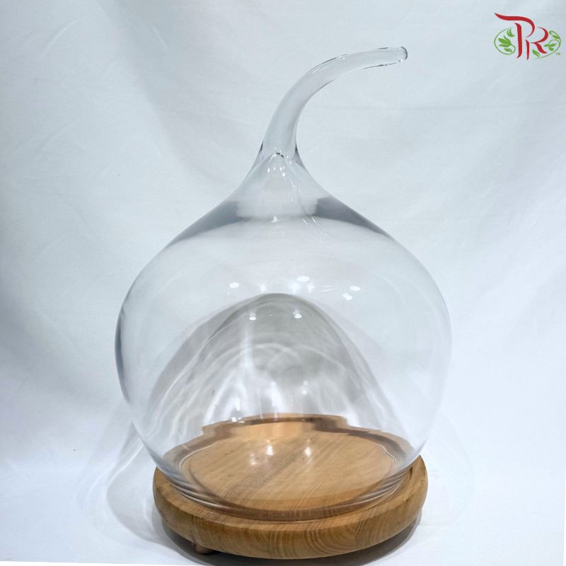 283633W-A- Apple Shape Glass Dome